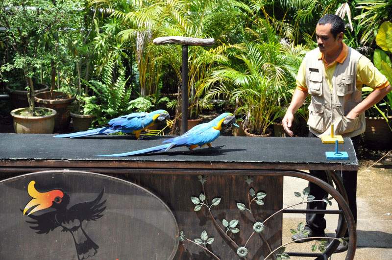Kuala Lumpur Bird Park