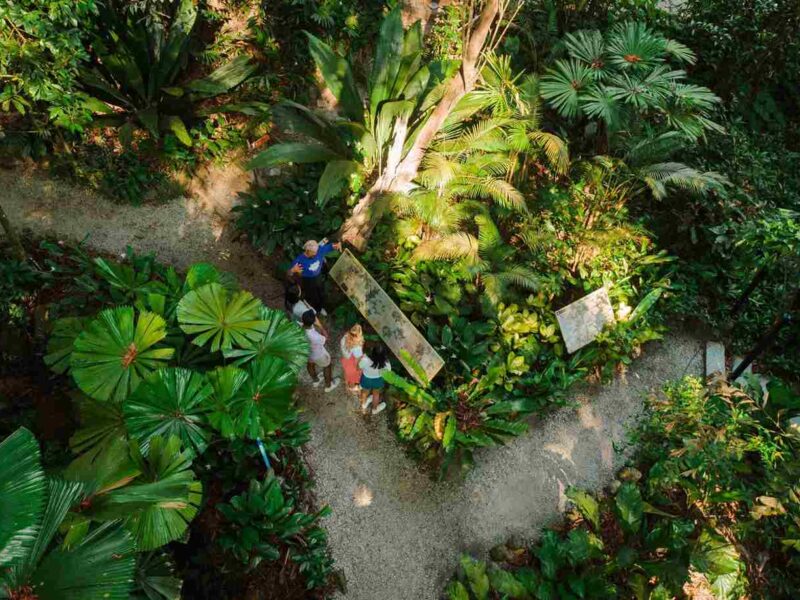 Tropical Spice Garden - Must Visit Attraction in Penang