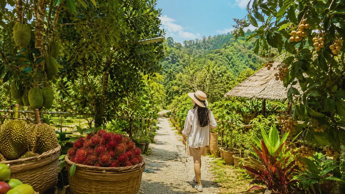Desaru Fruit Farm representative illustration